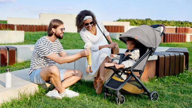 Stroller NUBI bird - Image 14