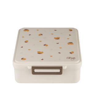 Citron Grand Lunch Box - 4 Compartments - Lemon + 1 Food Jar
