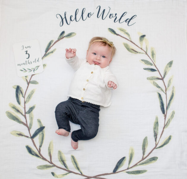 Baby's First Year Blanket & Cards Set - Hello World