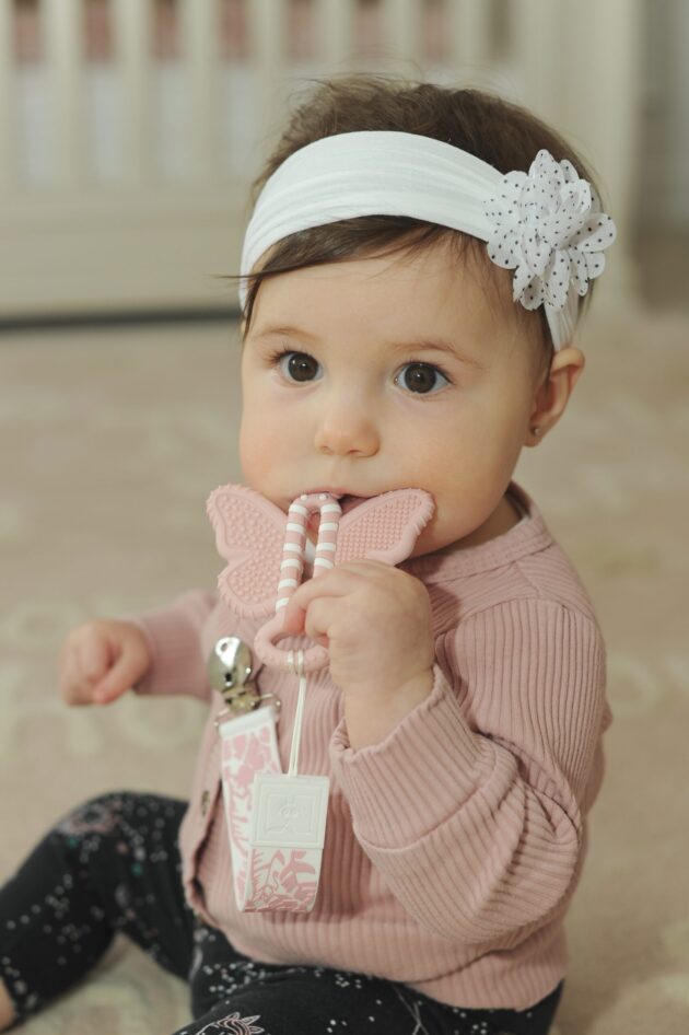 Butterfly Brush - Baby Teether Brush - Image 2