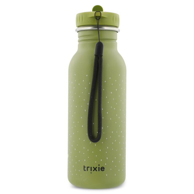 Bottle 500ml - Mr. Dino - Image 2