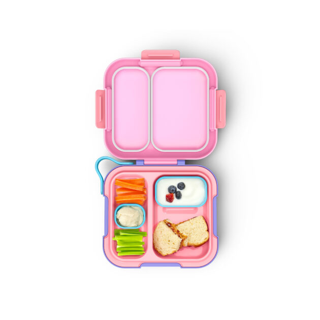 Neat Bento Pink - Image 2