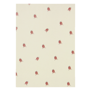 Greeting card ladybug
