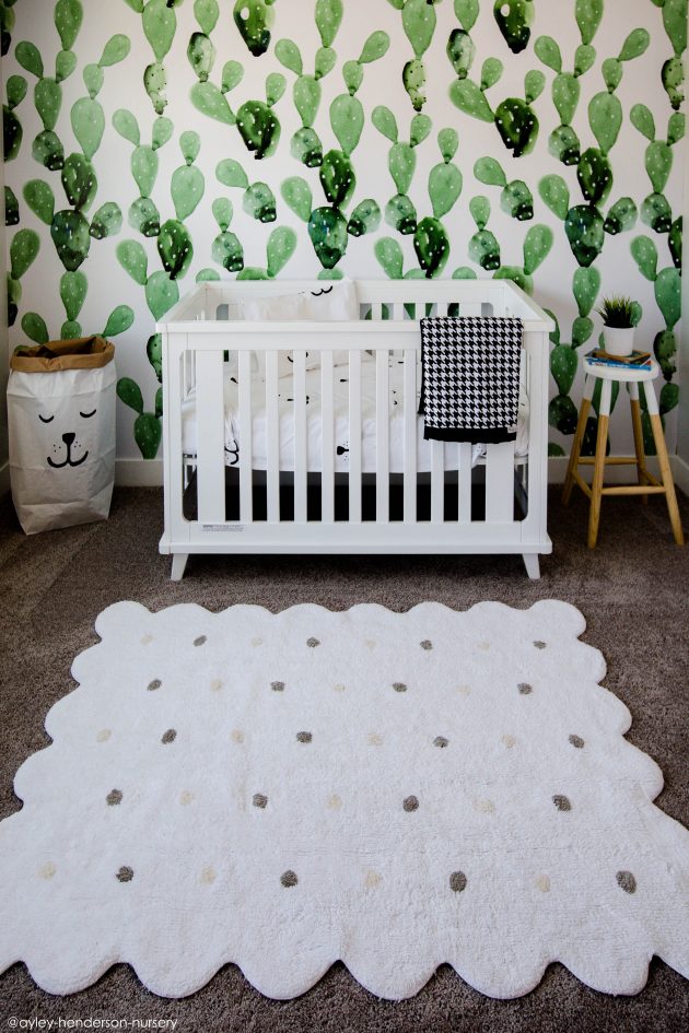 Galleta Blanco / Biscuit White - Image 3