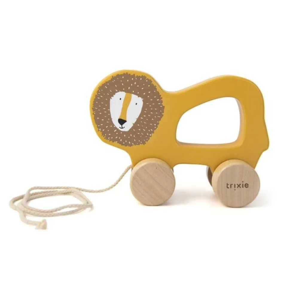 Wooden pull along toy - Mr. Lion - Bubbleeboo